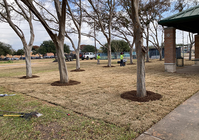 City View Park 1