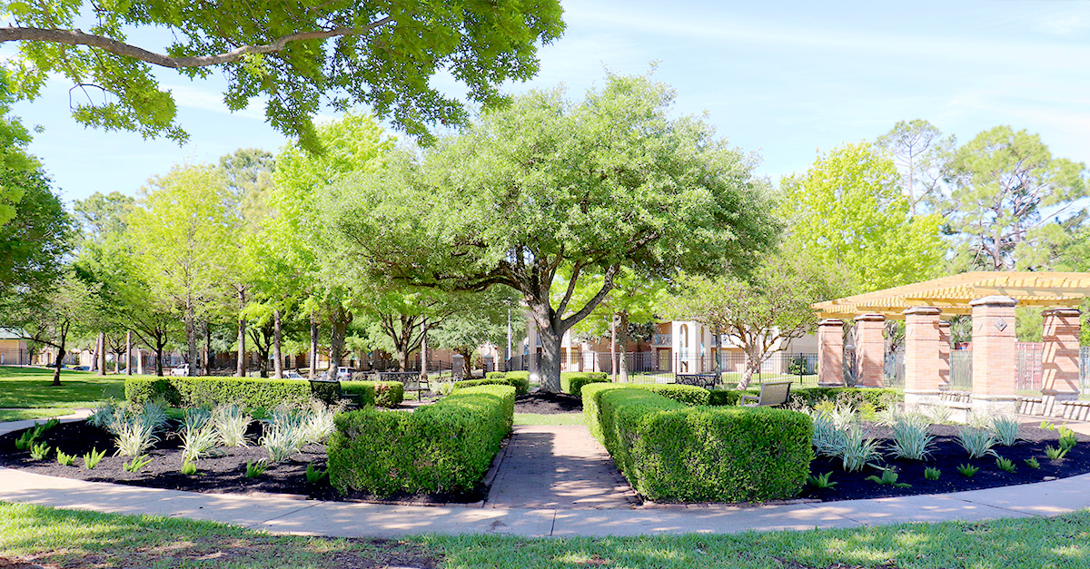 City View Park
