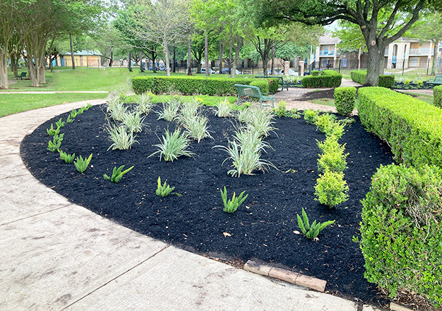 Large playground area at City View Park with slides, climbing features, and shaded play structures designed for children. Trees and mulch surfacing surround the playground.