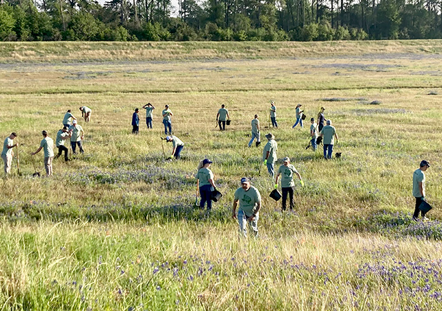 GBC Tree Planting 10 Volunteers wearing matching green shirts spread across a grassy field planting trees and carrying supplies during an environmental restoration event near Greens Bayou.