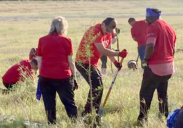 GBC Tree Planting 5 Volunteers wearing red shirts plant trees in an open grassy field during a Greens Bayou community tree planting event.
