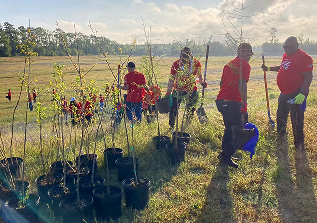 GBC Tree Planting 9 Volunteers in red shirts gather with young trees and planting tools in a grassy field during a Greens Bayou community tree planting event.