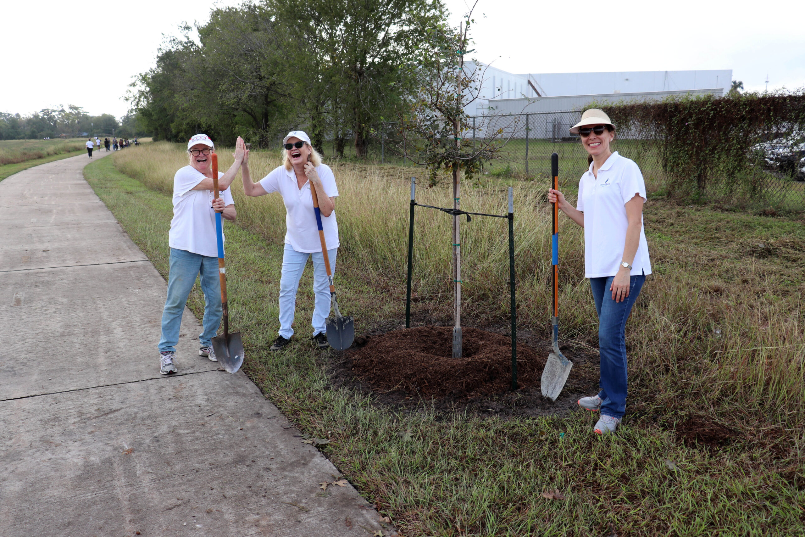 Three volunteers in white polo shirts stand next to a newly planted tree along a grassy path. Two volunteers high-five while holding shovels, smiling and celebrating their efforts.