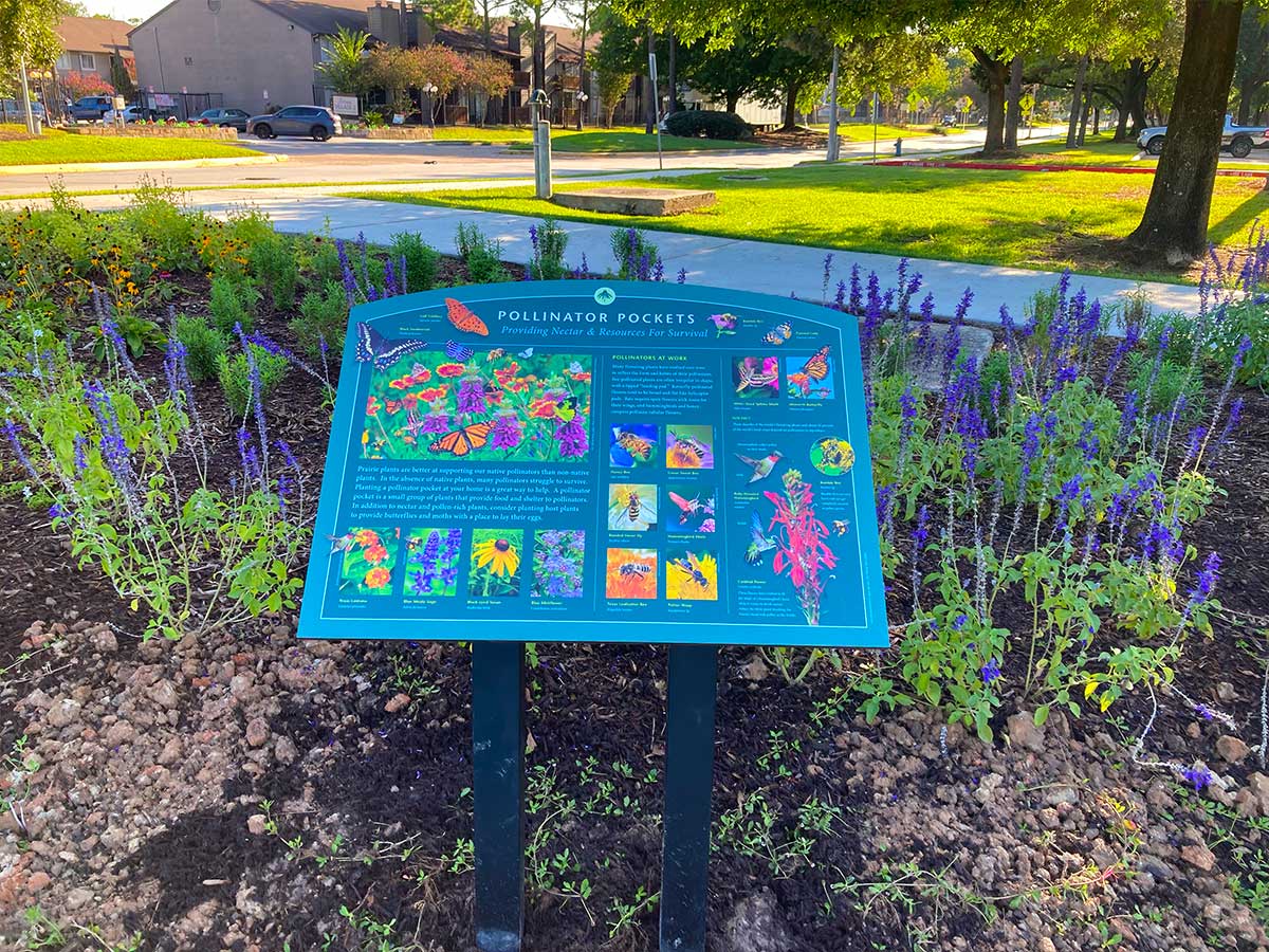 Educational sign titled “Pollinator Pockets” stands among blooming purple and yellow flowers at Thomas R. Wussow Park, providing information about native plants and pollinators.